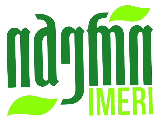 Imeri Logo